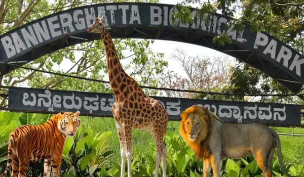 Featured Image of Bannerghatta National Park